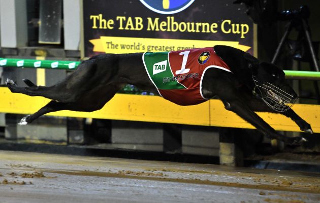 My Redeemer wins the TAB Melbourne Cup