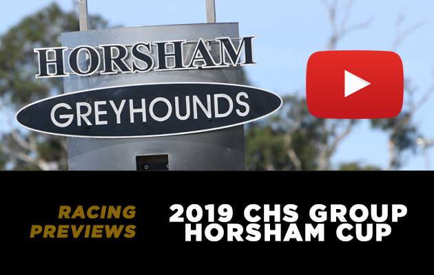 2019 Horsham Cup PREVIEW