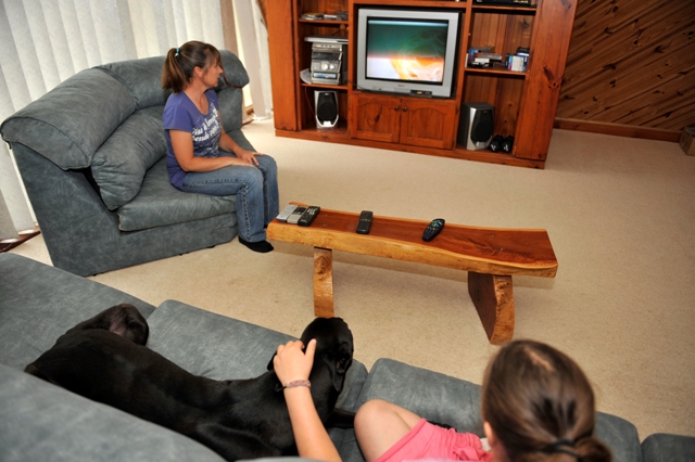 Former racing champion and Hall Of Fame inductee El Grand Senor watching TV with the family.