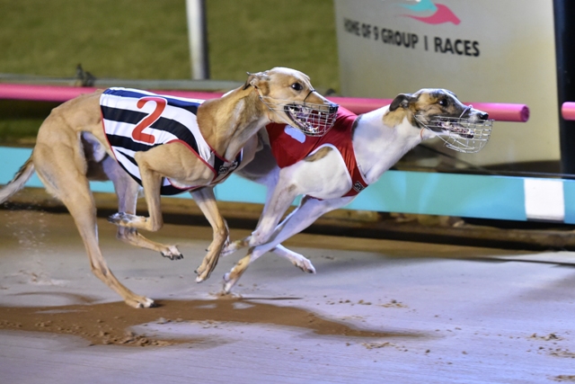 Topgun Night 102 - Race 8 winner