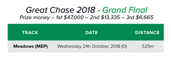 2018 TAB Great Chase Finals