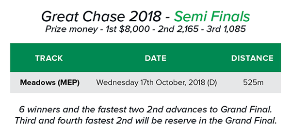 2018 TAB Great Chase Semi-finals