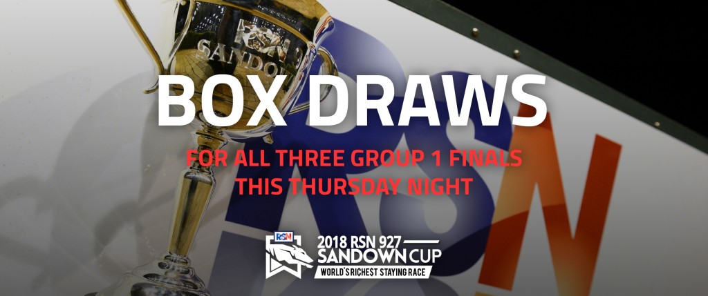 2018-Sandown-Cup-box-draw-website-header-1024x429