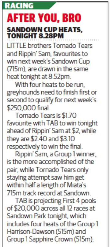 Sandown Cup News 1