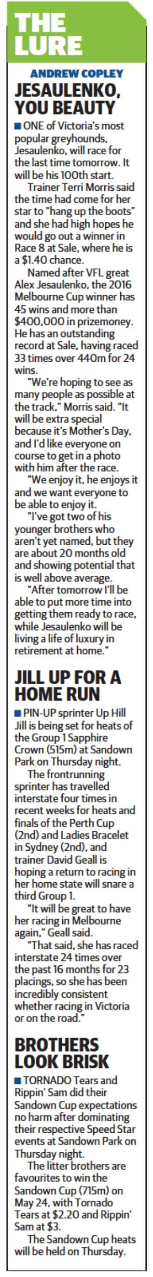 Sandown Cup News 3
