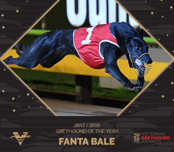 Fanta Bale