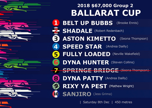 2018 Ballarat  Cup