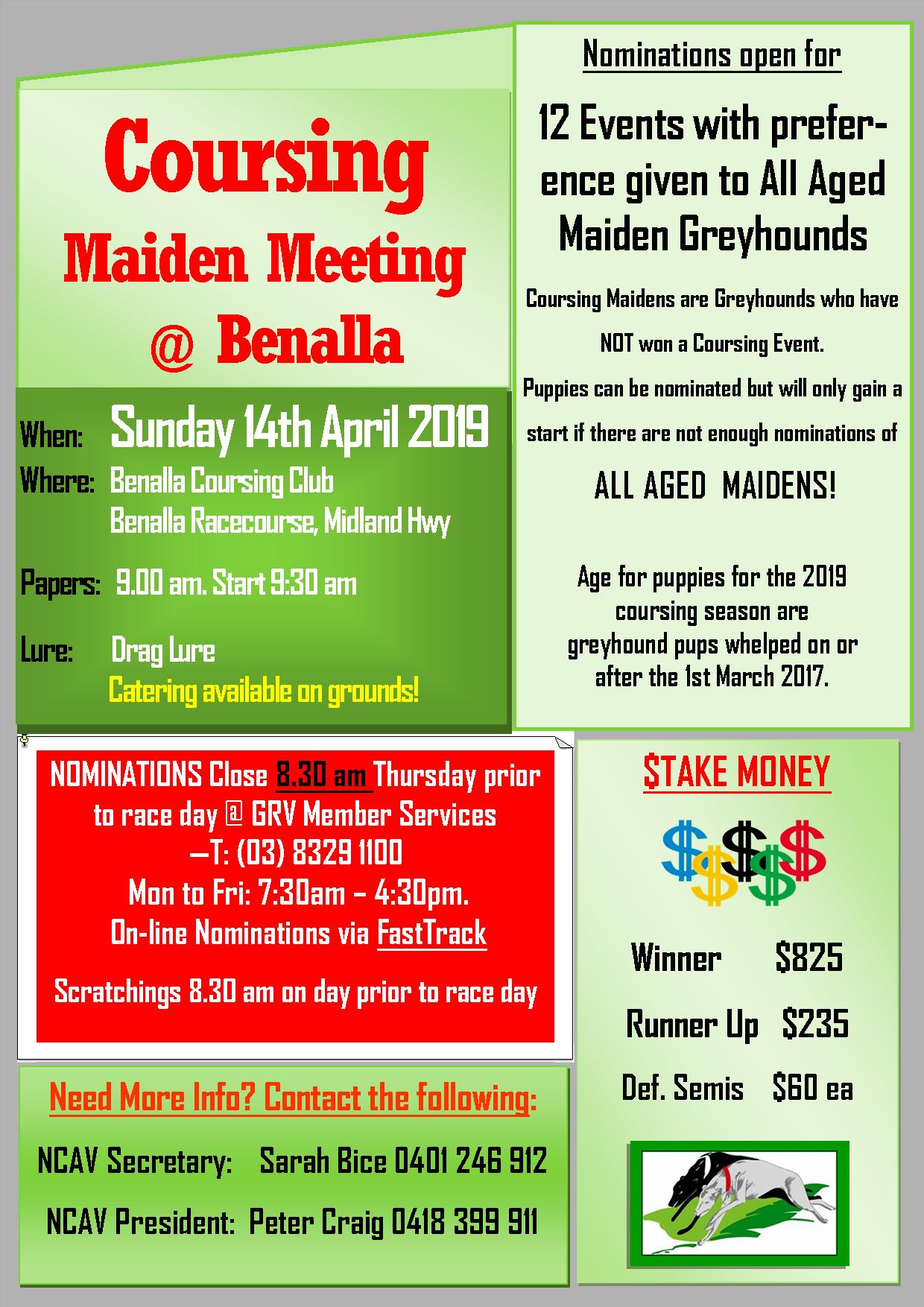 Maiden Benalla Greyhound Coursing Waterloo Cup