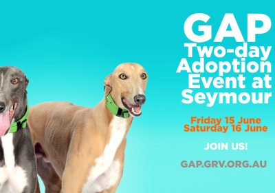 GAP Two-day Adoption Event