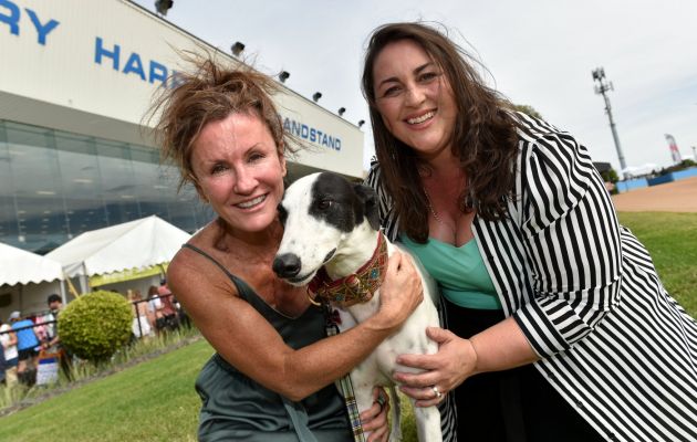 2018 GRV Greyhound Community Day at Sandown