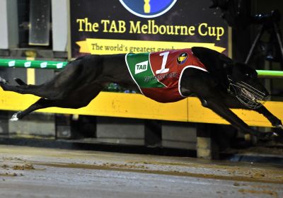 My Redeemer wins the TAB Melbourne Cup