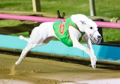 Poke The Bear storms away to a six length win in the Topgun.