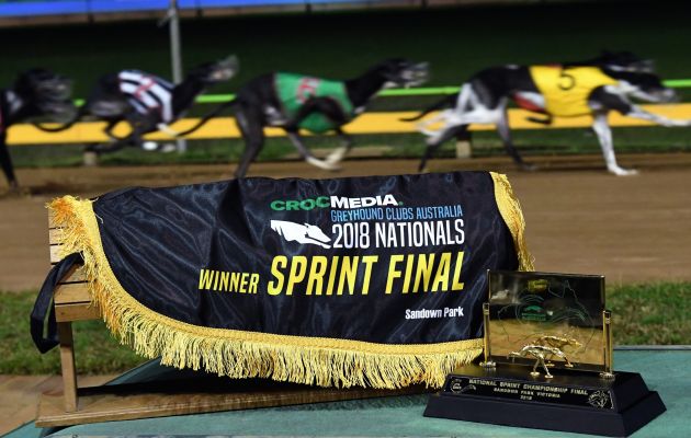 Group 1 Crocmedia National