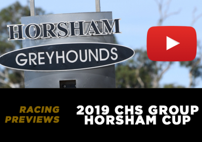 2019 Horsham Cup PREVIEW