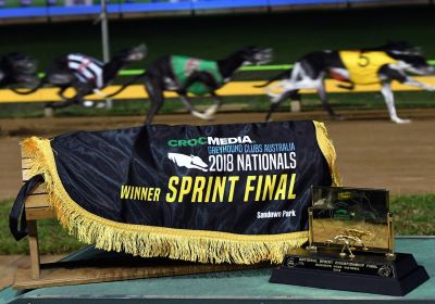 Group 1 Crocmedia National