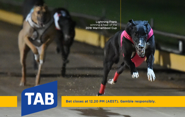 Lightning Frank 2018 Warrnambool Cup Heat Win