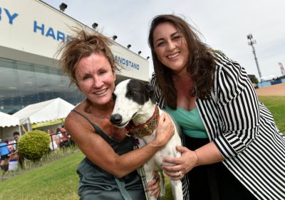 2018 GRV Greyhound Community Day at Sandown