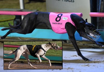 Fanta Bale and Rippin Sam