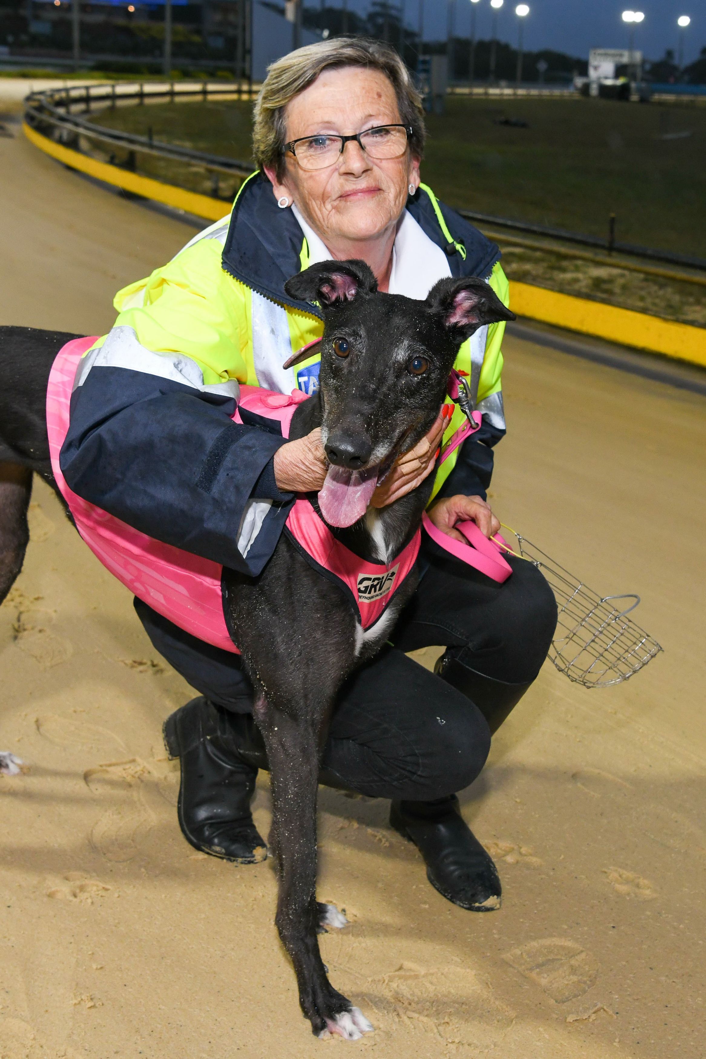 Backmans greyhound supplies 2025