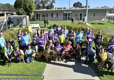 GAP - Greyhound Adoption Day in Bendigo