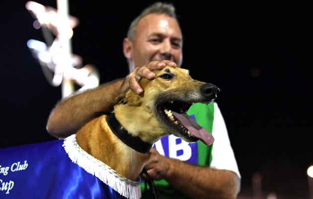 Orson Allen with handler Joe Briffa after his Horsham Cup win.