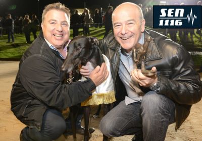 Bewildering with Serge and Bill Buccilli