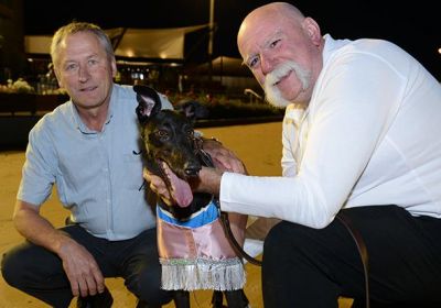 Fanta Bale with trainer Robert Britton and handler Peter Riley