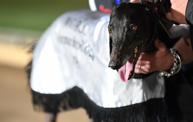 Striker Light winning the 2018 G2 Warrnambool Cup