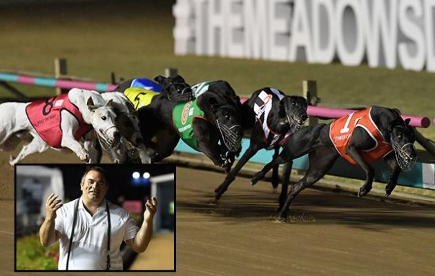 Striker Light charges clear in the Temlee, with her win leaving trainer Brett Bravo (inset) overcome with emotion.