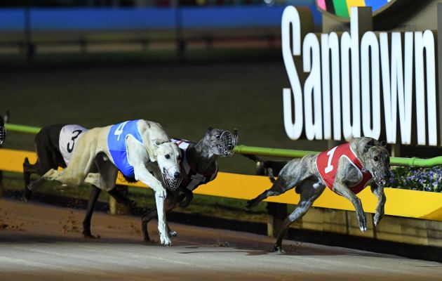 Notorious Mac winning his Melbourne Cup heat