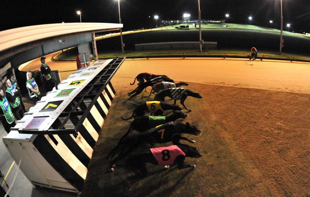 2018 Warrnambool Cup Heats - Race 8