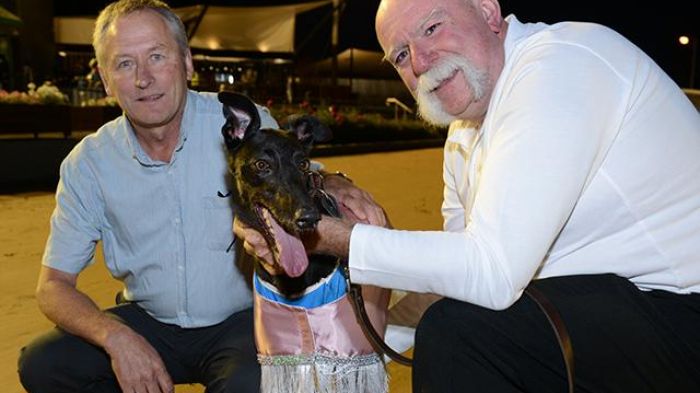 Fanta Bale with trainer Robert Britton and handler Peter Riley