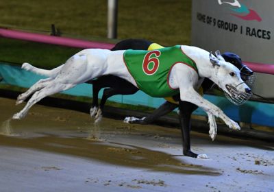 Poke The Bear (6) pips Up Hill Jill right on the finish line in the RSN Silver Bullet.