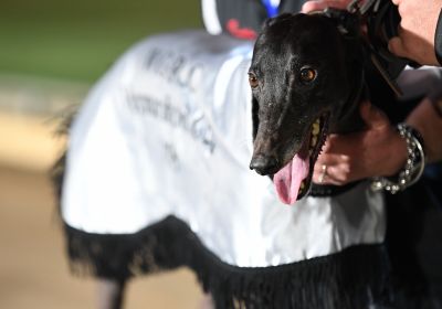 Striker Light winning the 2018 G2 Warrnambool Cup