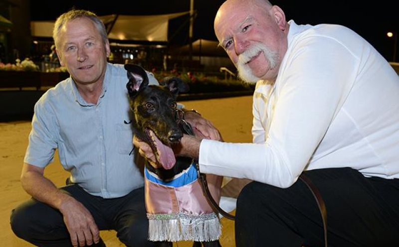 Fanta Bale with trainer Robert Britton and handler Peter Riley