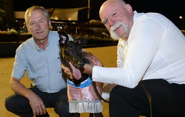 Fanta Bale with trainer Robert Britton and handler Peter Riley