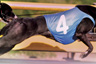 RACING PREVIEW OCT 1 & 2