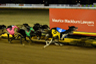 ‘SPUD THE ONE TO BEAT’ –  GREENOUGH
