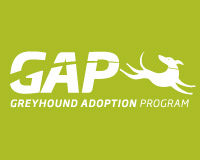 Greyhound Adoption Program