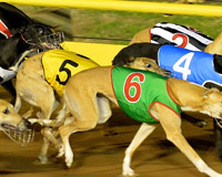 Racing Operations