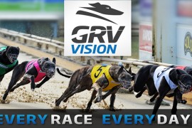 GRV Vision Unveiled