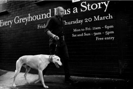 Every Greyhound Has A Story
