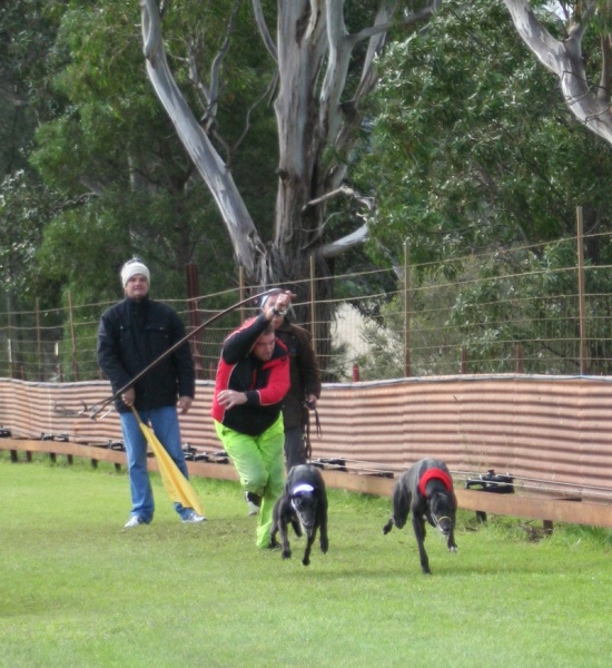 Racing action from Melton on Sunday. 