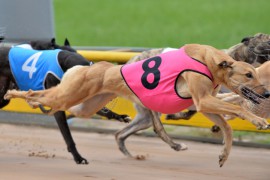 Metropolitan Provincial Racing Begins