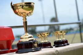 TAB Melbourne Cup Betting Preview