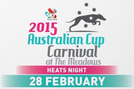 Eight Heats of the ATC Australian Cup this Saturday Night