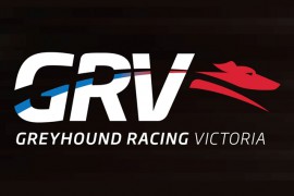 CEO Adam Wallish to leave Greyhound Racing Victoria