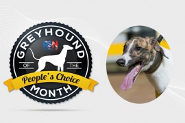 Fernando Bale is June’s RSN People’s Choice