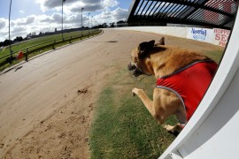 Western Wrap: Tycoon’s Derby