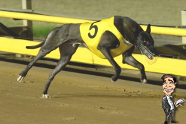 The Watchdog’s Maturity Classic Preview: Double Trouble for Fernando